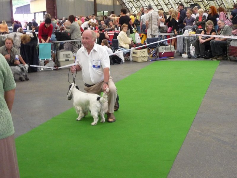 narodka boleslav 035.jpg